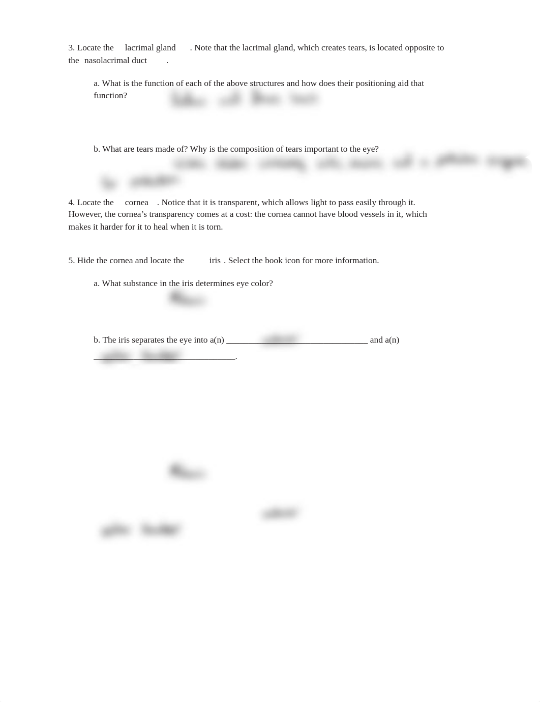 Vision_lab_.pdf_d0fyvpguxam_page3