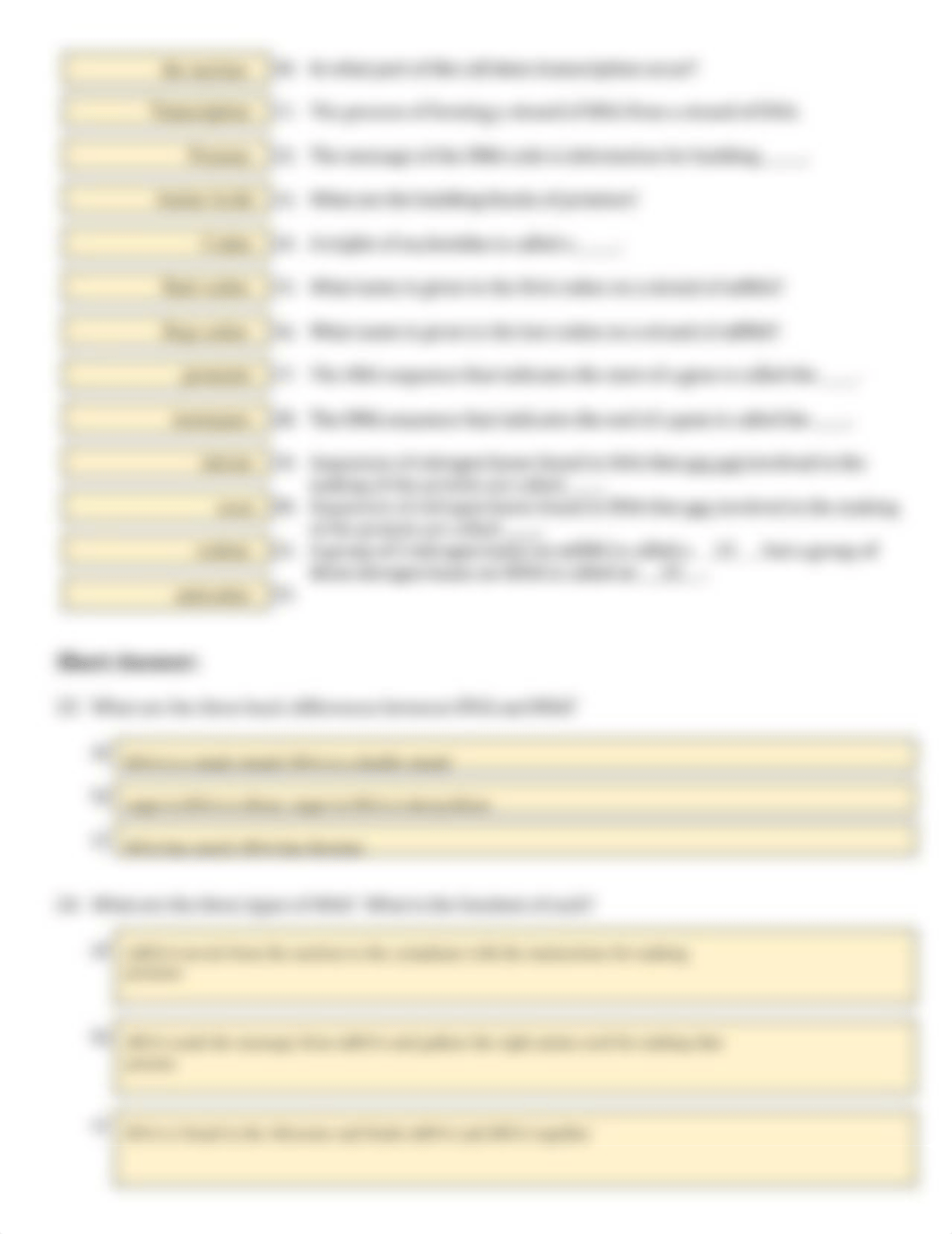 Copy of #3 DNA, RNA, and Protein Synthesis Homework_ RNA and Transcription.pptx_d0g690hbw3a_page2