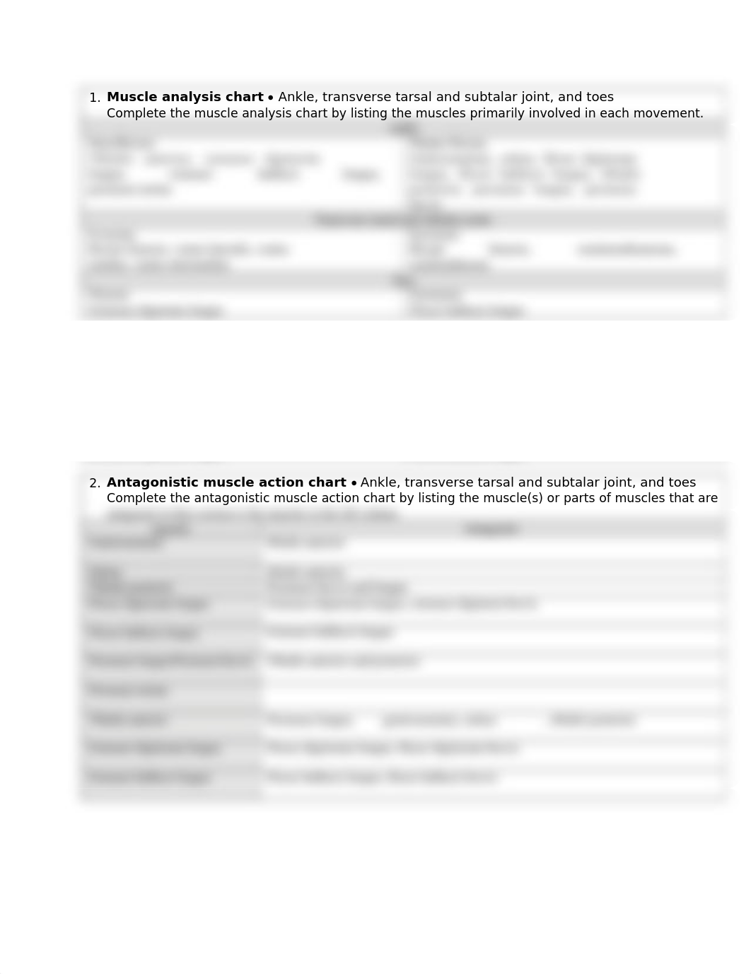 worksheet 8 and 9 ankle foot.docx_d0g6h11r1tf_page1