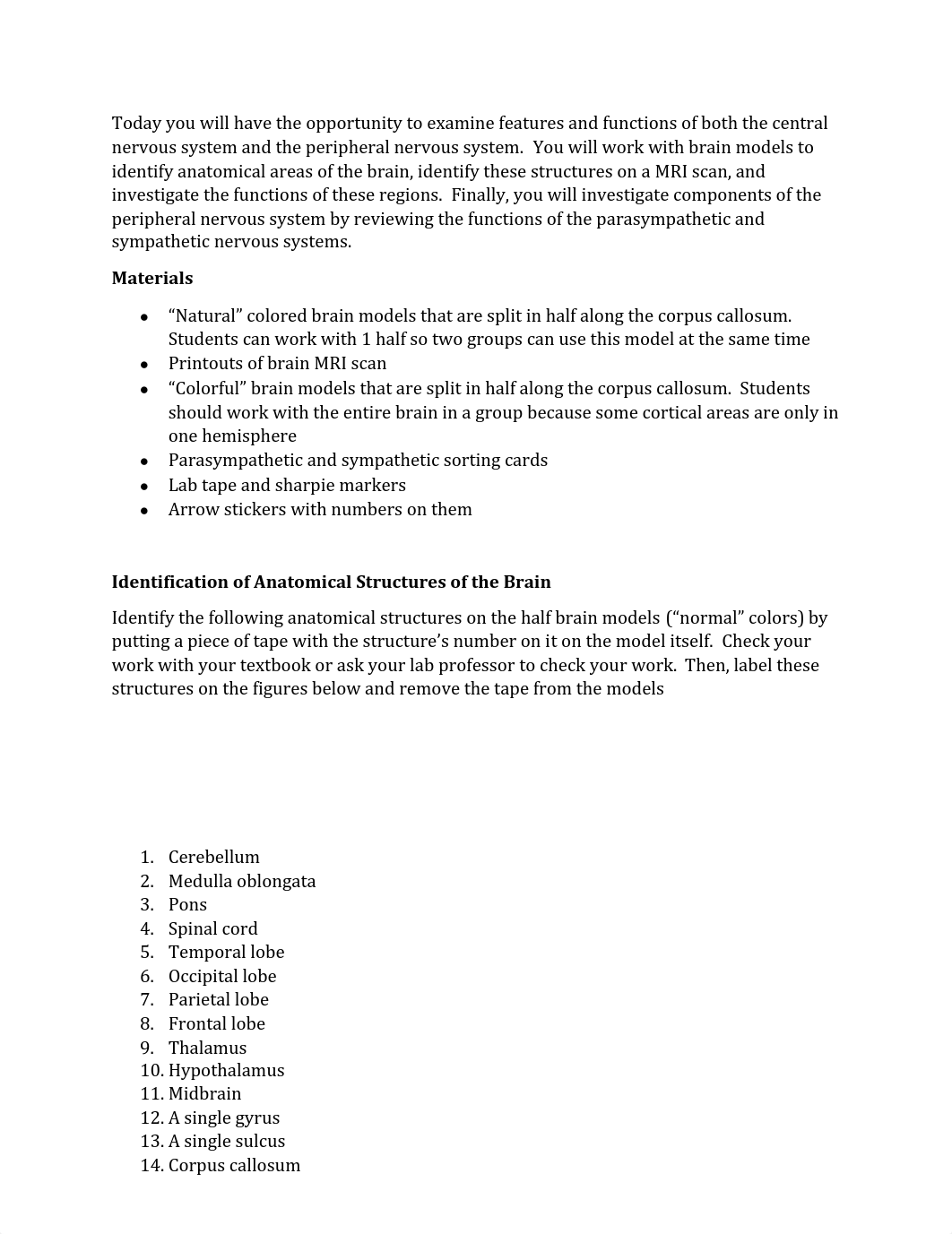 Bio II CNS Anatomy Lab.pdf_d0g9st1fzbk_page1