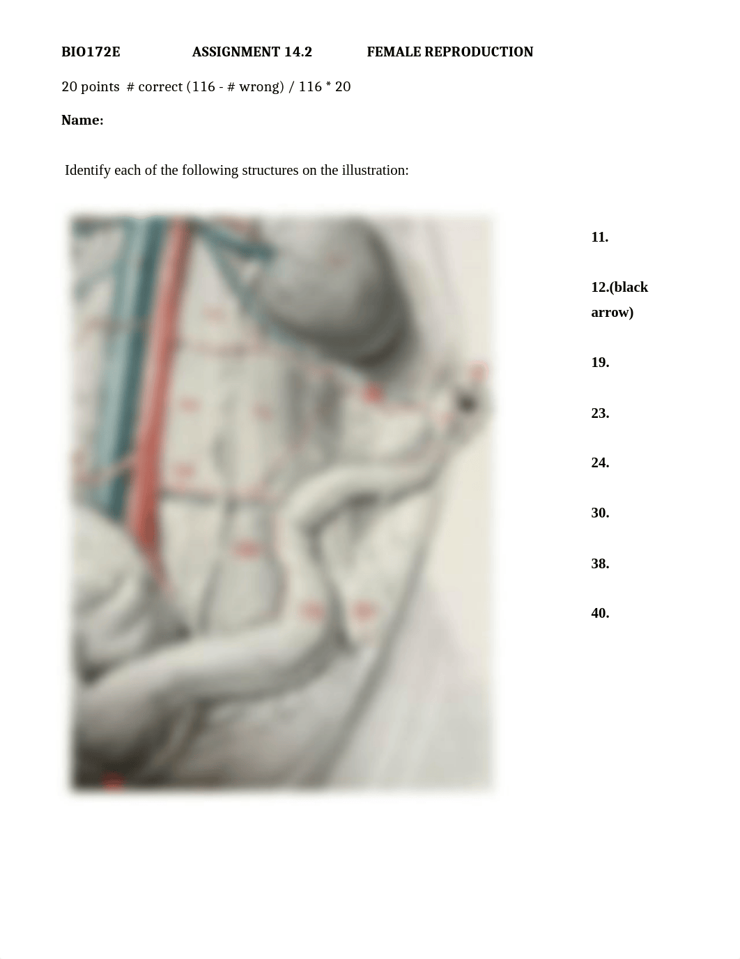 ASSN 14.2 FEMALE REPRODUCTION.docx_d0gcypp0wgr_page1