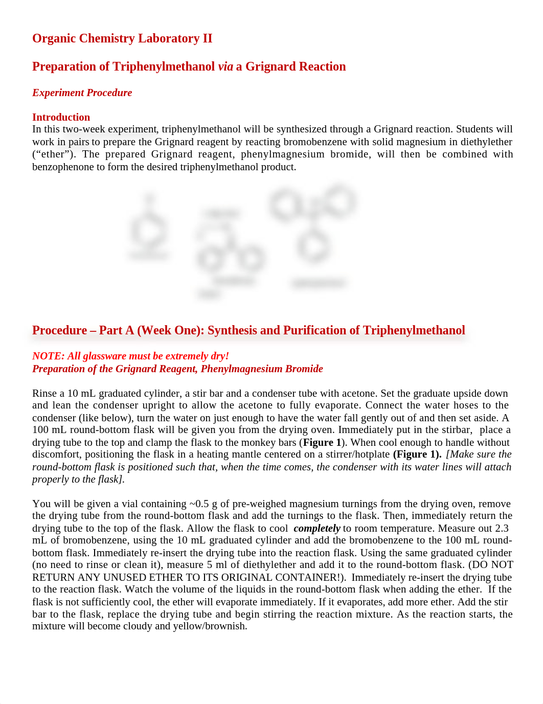 Grignard-Experimental(1).docx_d0gj9zy8fvq_page1