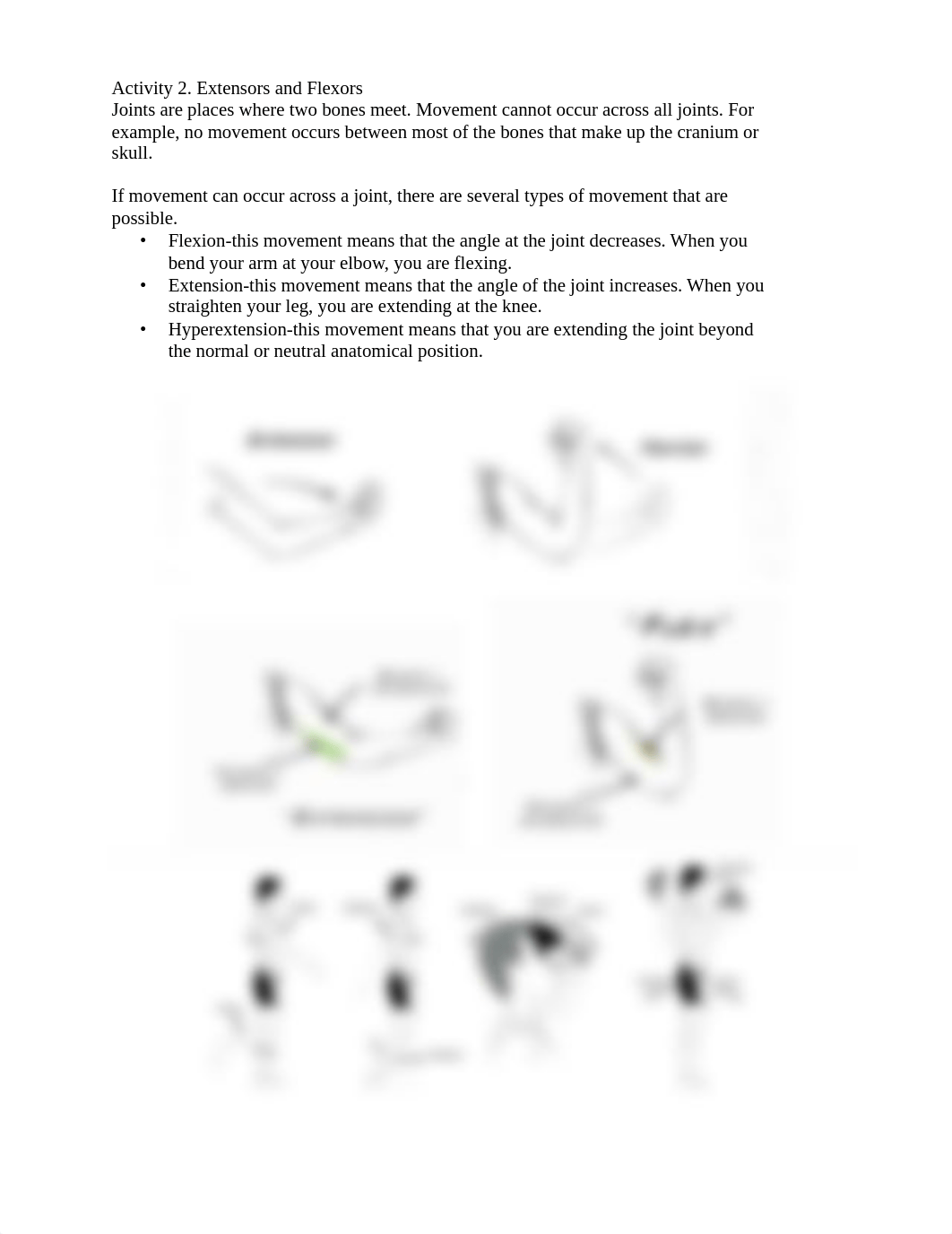 Skeletal and Muscular system Lab (no materials needed).pdf_d0gpjlbpcl8_page2