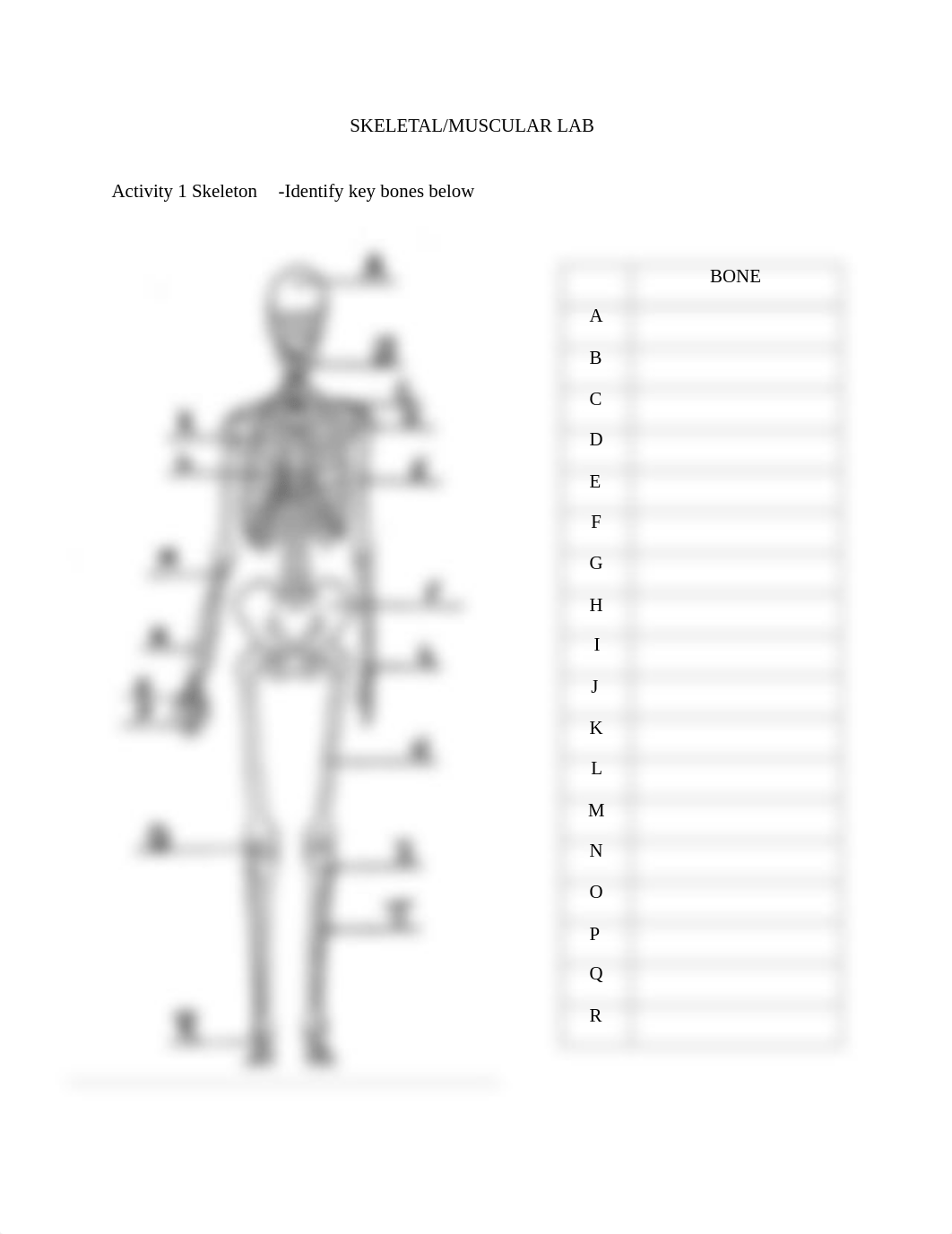 Skeletal and Muscular system Lab (no materials needed).pdf_d0gpjlbpcl8_page1