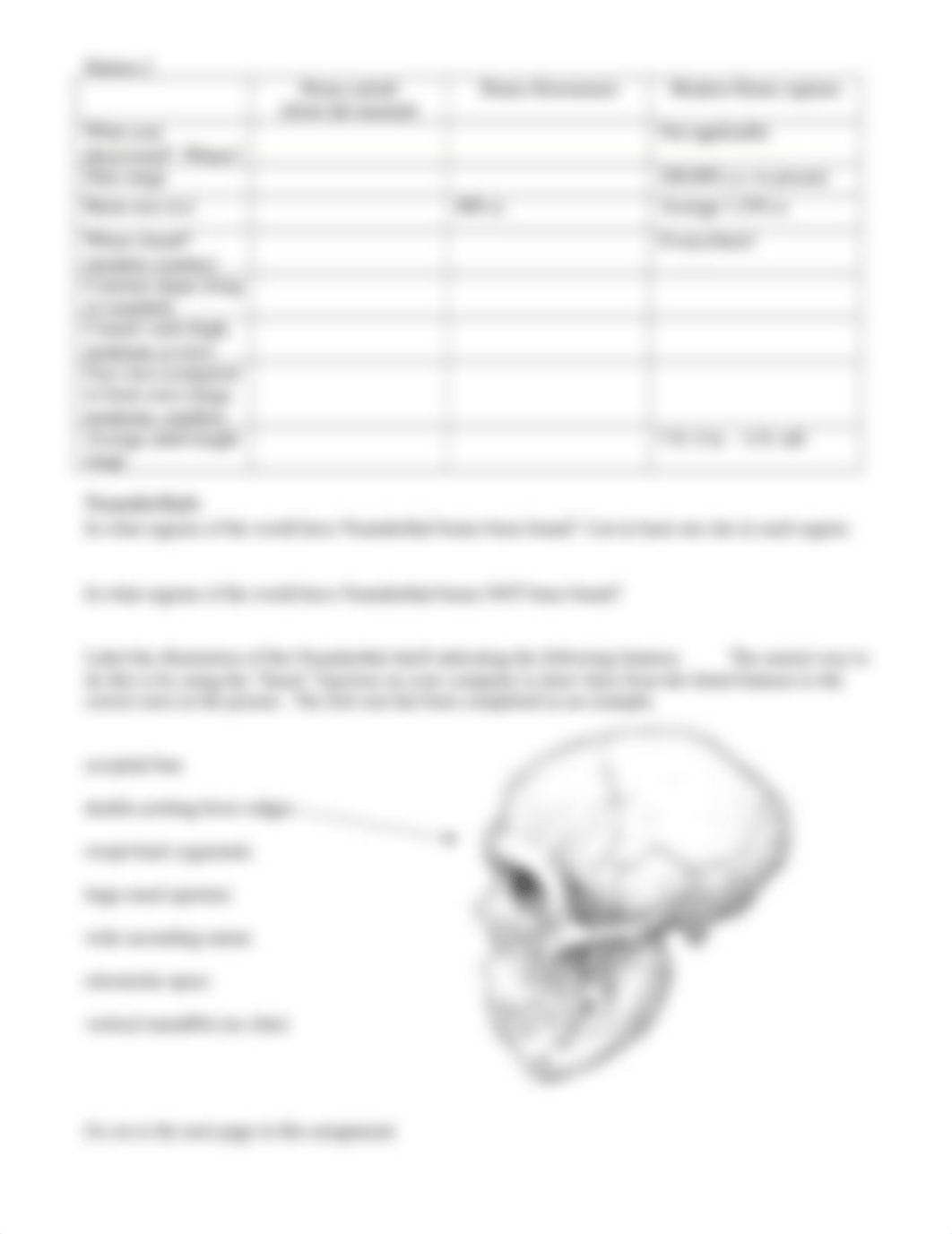 14-Archaic and Early Modern Humans Worksheet.docx_d0gr3aygq6u_page2