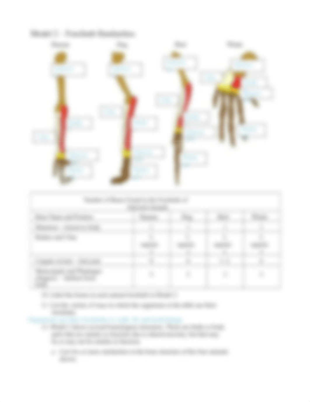 19 Evidence for Evolution-S.docx_d0gs5sdwf3u_page4