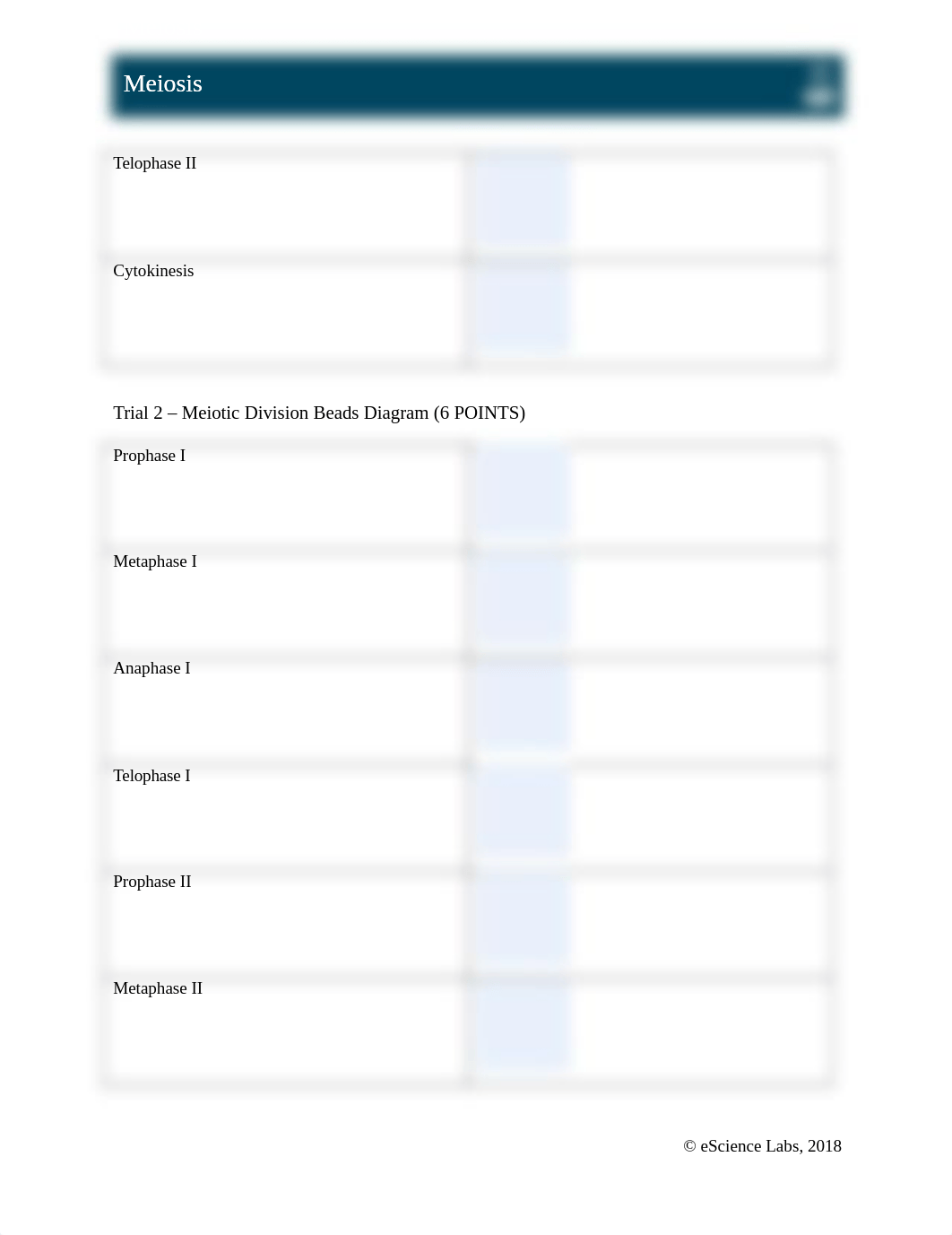 Module 8_Meiosis.docx_d0gwahljvzh_page3