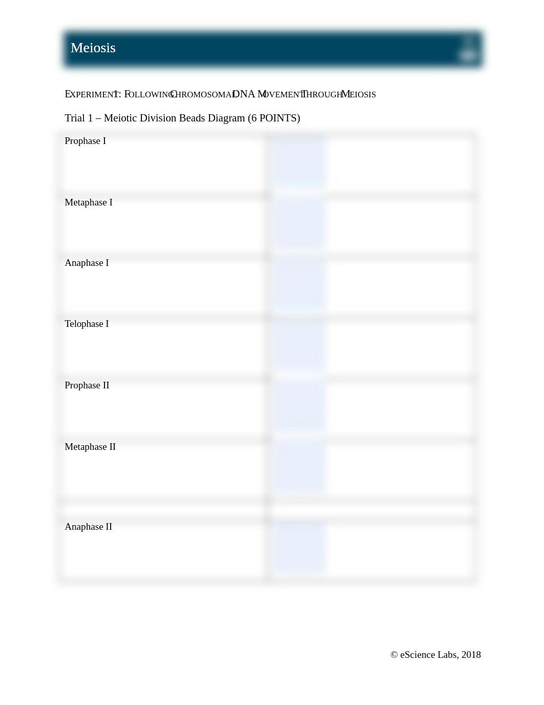 Module 8_Meiosis.docx_d0gwahljvzh_page2