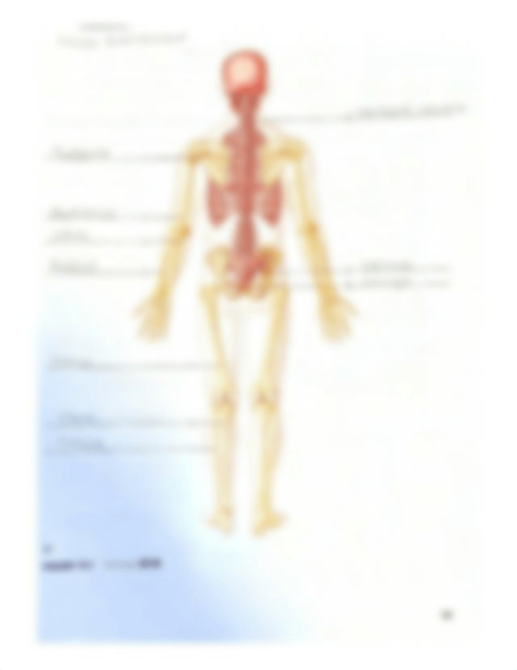 Lab Reports 12, 13, and 14.pdf_d0h0zumt4v3_page4