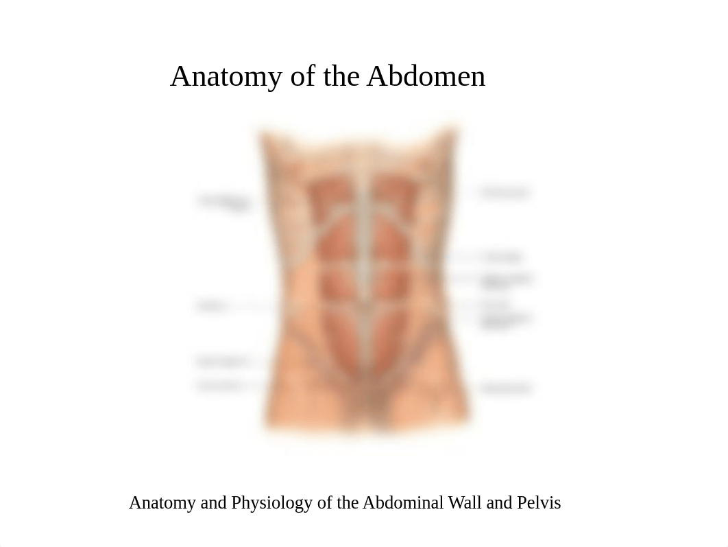 Abdominal GI 520.ppt_d0h6vt4c8iw_page3