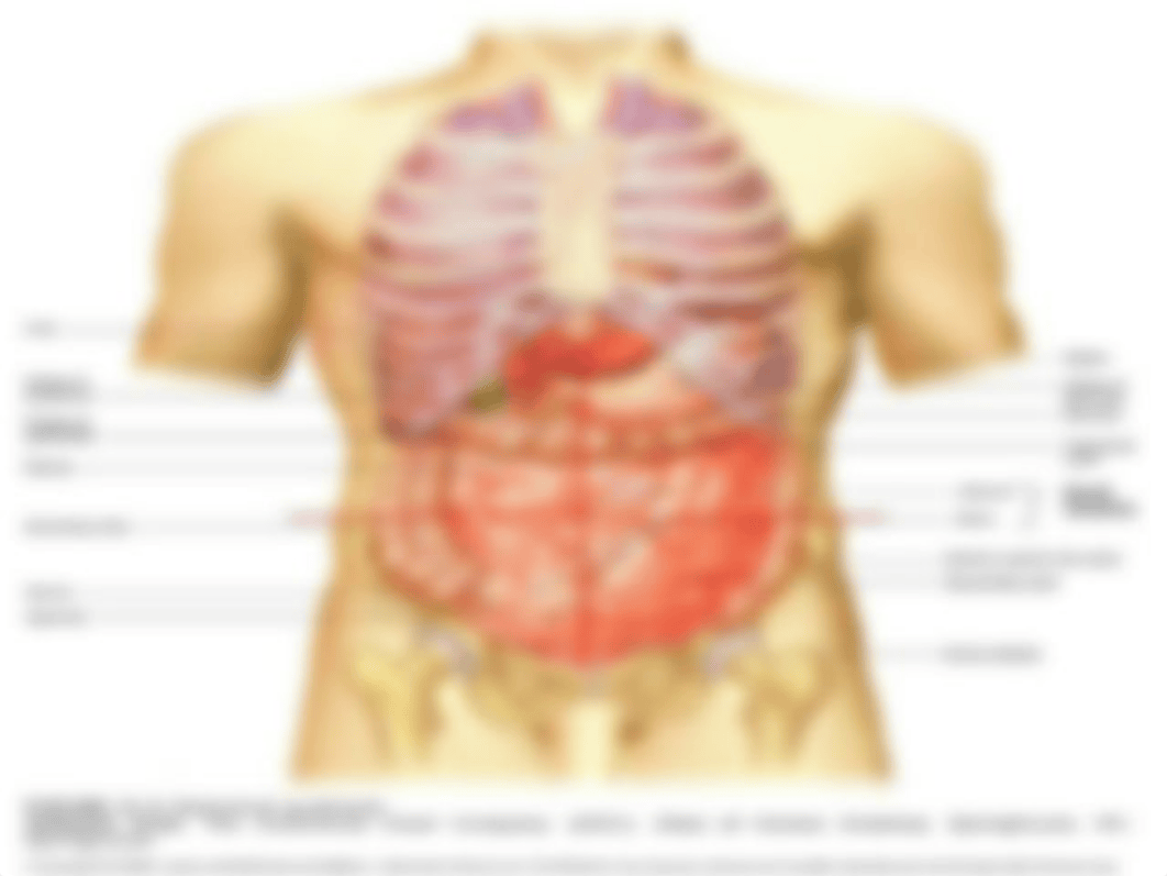 Abdominal GI 520.ppt_d0h6vt4c8iw_page4