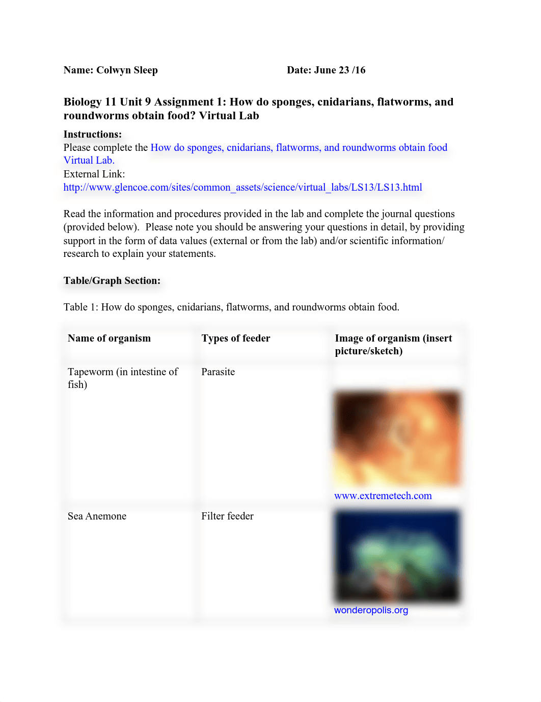 how-do-sponges-cnidarians-flatworms-and-roundworms-obtain-food-virtual-lab.pdf_d0hajo2o4rp_page1