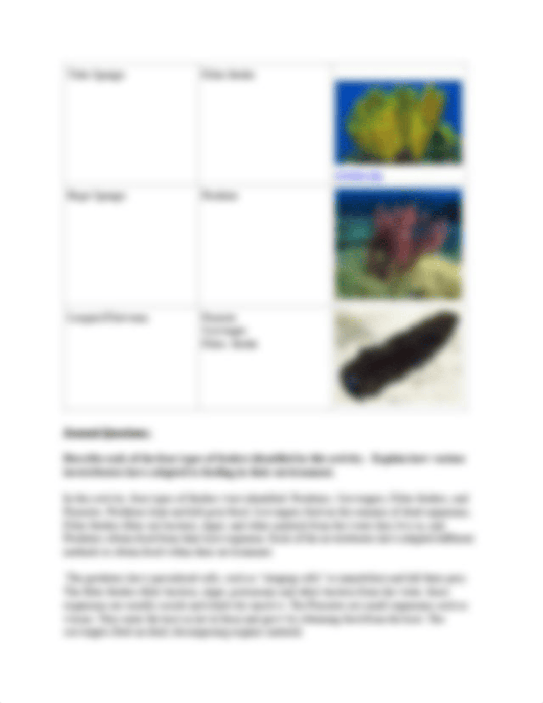 how-do-sponges-cnidarians-flatworms-and-roundworms-obtain-food-virtual-lab.pdf_d0hajo2o4rp_page3