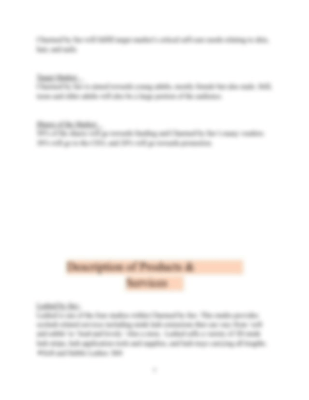 Business Plan.docx_d0hnrg5qwp4_page5