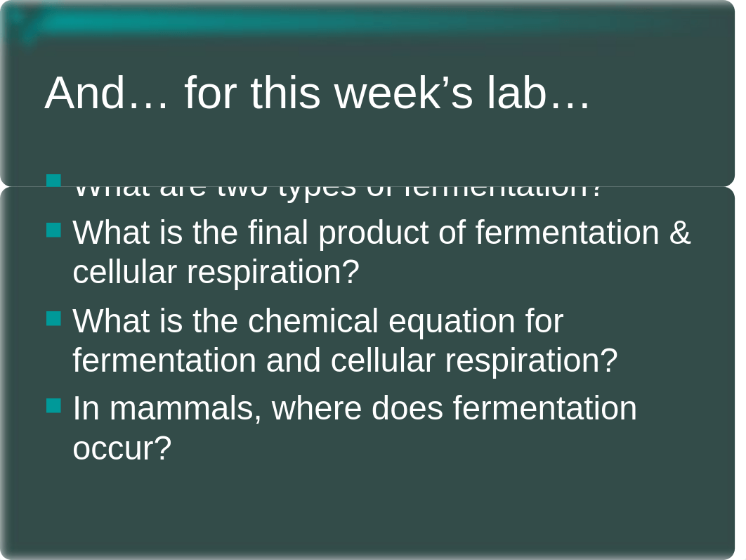 Lab 6 Cellular Respiration & Fermentation_d0hv4w4lh3k_page3