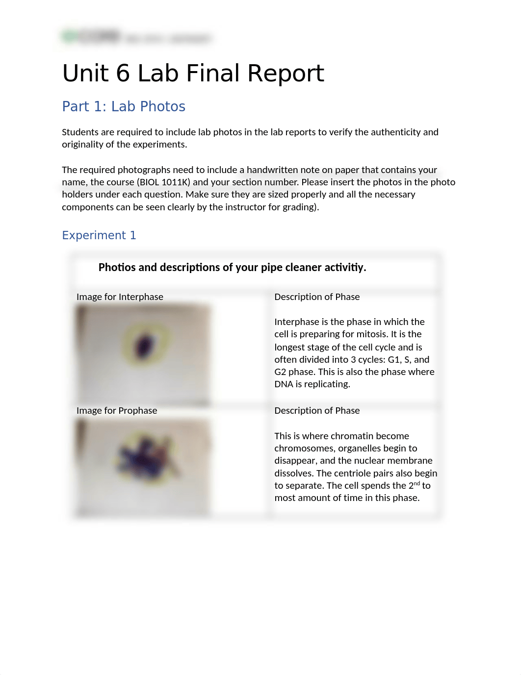 Unit 6 Lab Final Report.docx_d0hwd4z9zzr_page1