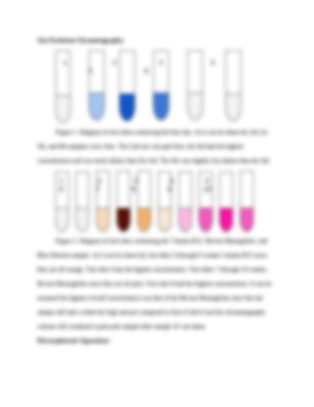 Protein Separation Through Gel Electrophoresis and Size Exclusion Chromatography_d0i0alitumo_page3