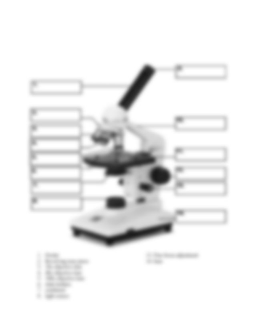 Microscope Lab Worksheet 137 35Z1(1).docx_d0i6lbr783n_page2