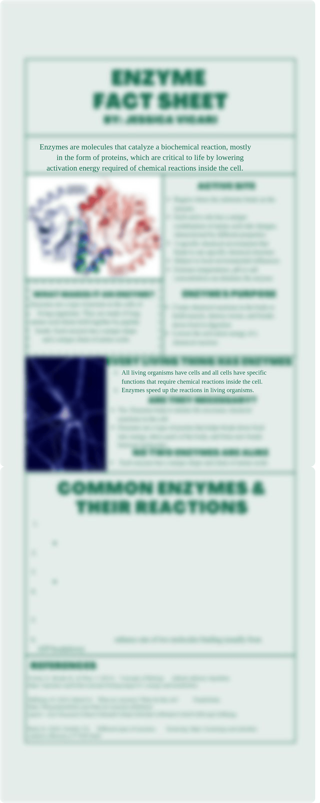 enzyme fact sheet.pdf_d0i7jk2xocm_page1