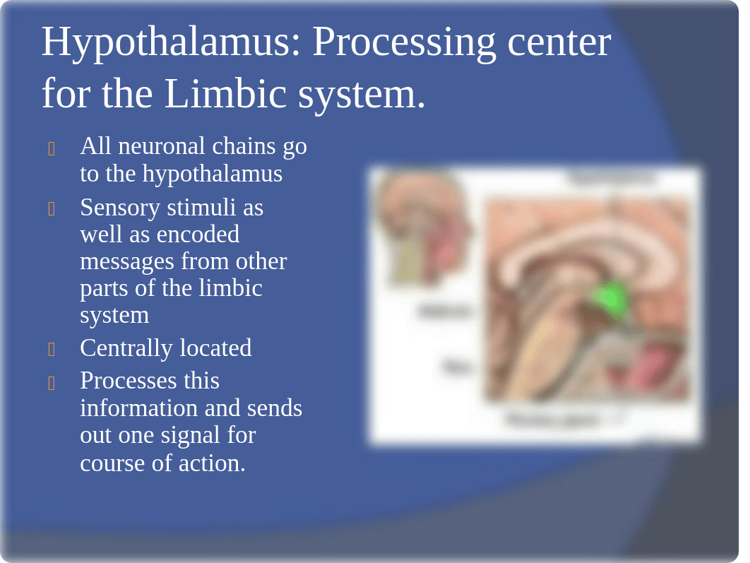 ANZ 321Canine Neuroscience pt. 2- The limbic system_d0id44ovf5w_page4