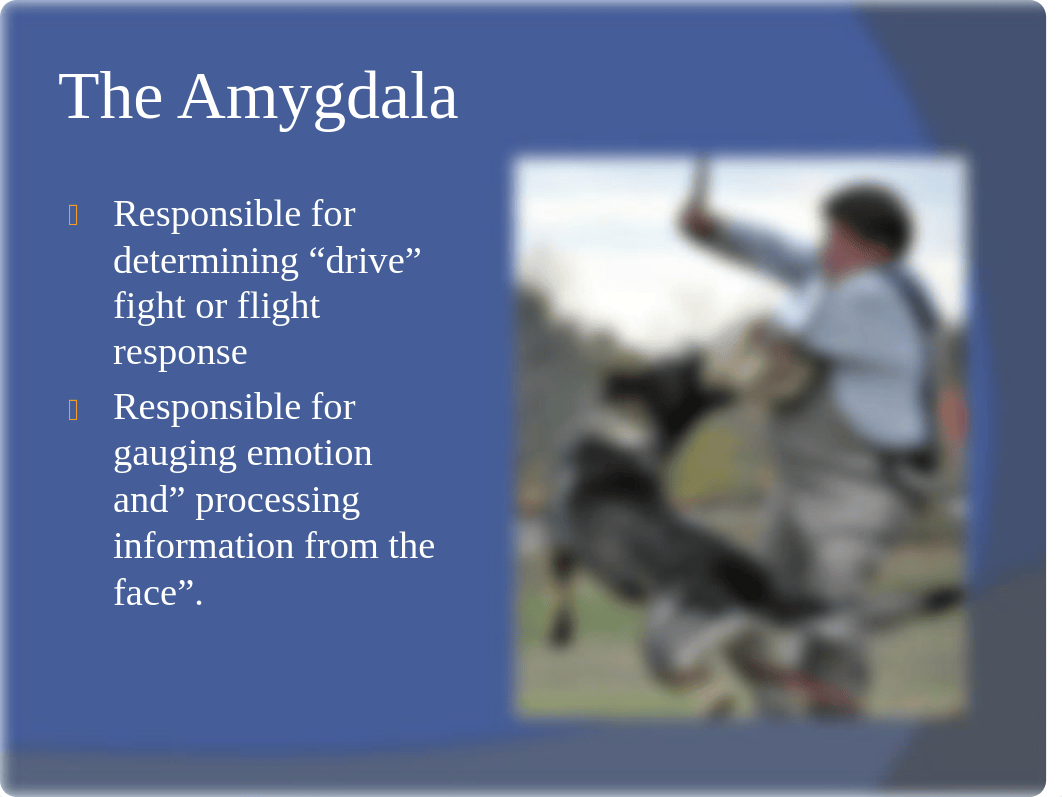 ANZ 321Canine Neuroscience pt. 2- The limbic system_d0id44ovf5w_page5