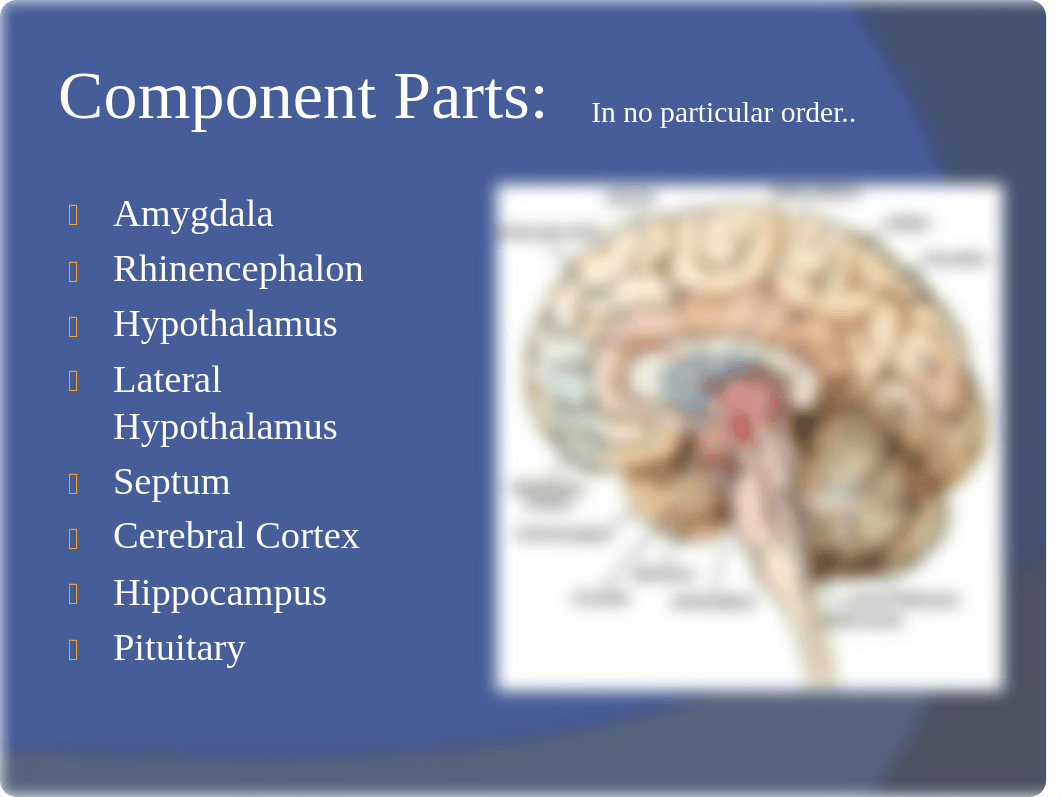 ANZ 321Canine Neuroscience pt. 2- The limbic system_d0id44ovf5w_page3