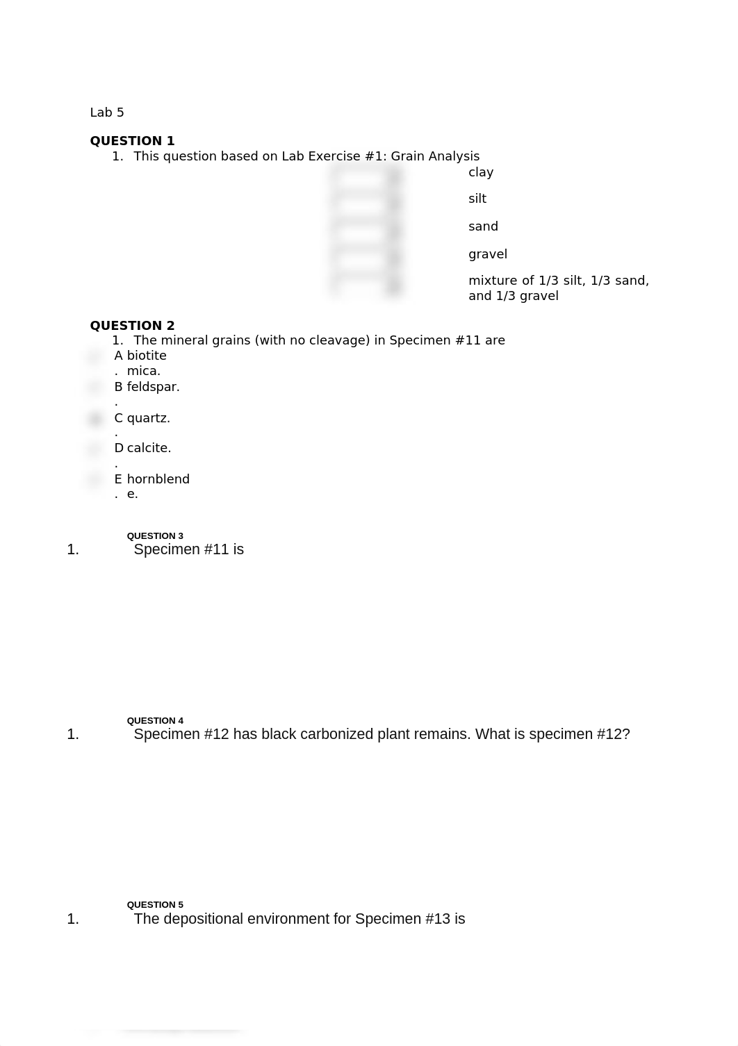 Lab 5.docx_d0ifbfcocai_page1