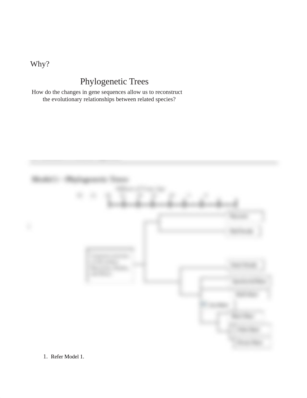 POGIL_Phylogenetic_Trees-Part_1.docx_d0it29e6b38_page1