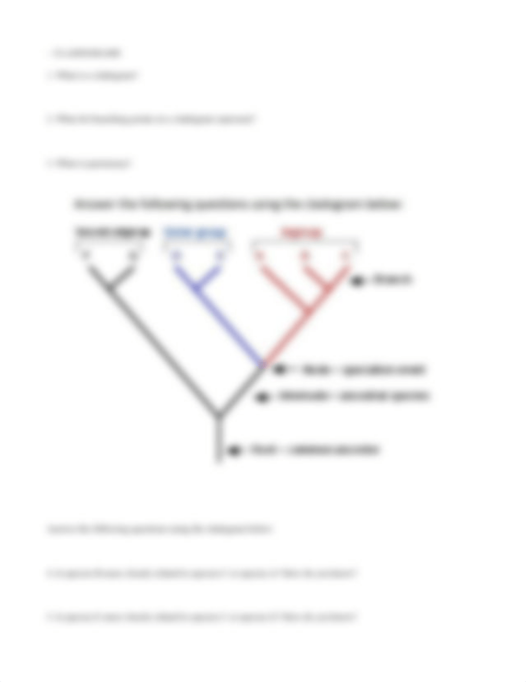 POGIL_Phylogenetic_Trees-Part_1.docx_d0it29e6b38_page4