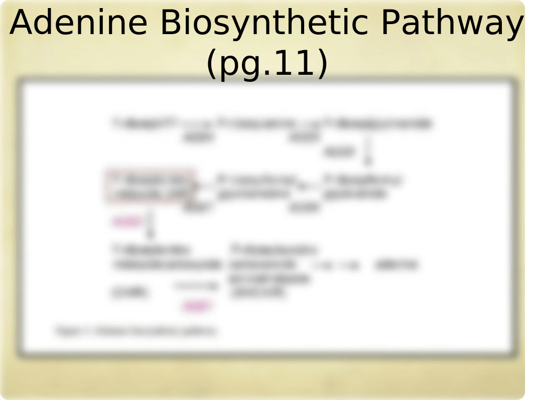 Midterm Review.pptx_d0iv6d46f0w_page5