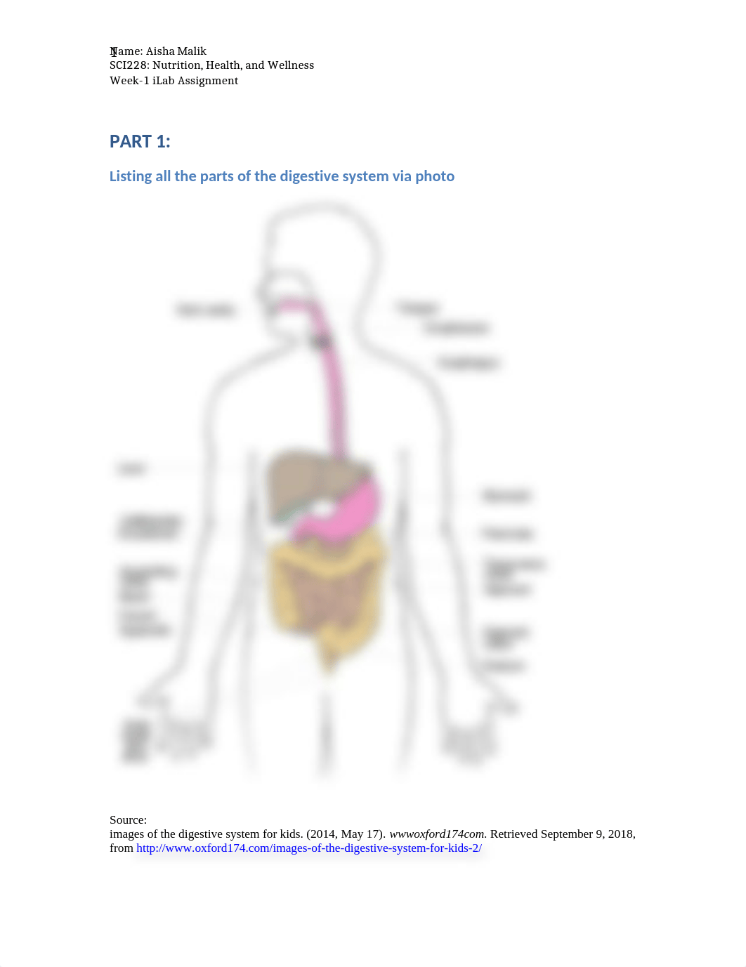 SCI 228 Week 1 iLab.docx_d0izxxvnadg_page1