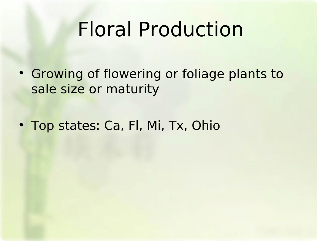 Floriculture Industry(1).ppt_d0j18ouzvu3_page3