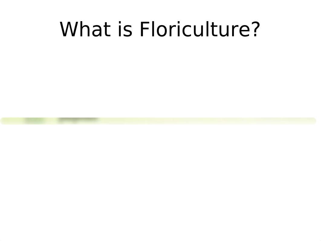 Floriculture Industry(1).ppt_d0j18ouzvu3_page2