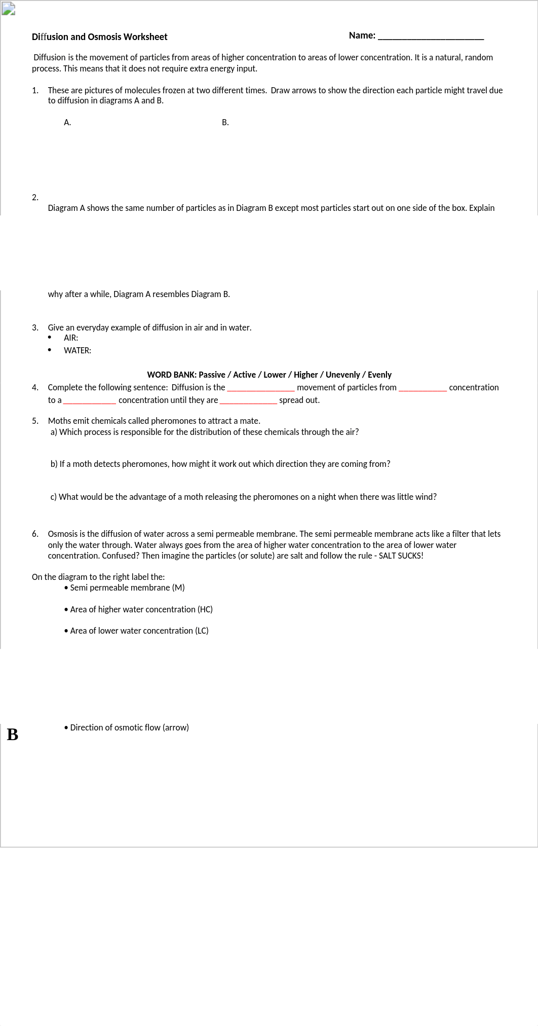 Diffusion and Osmosis Worksheet (3).doc_d0j4xgph8hp_page1