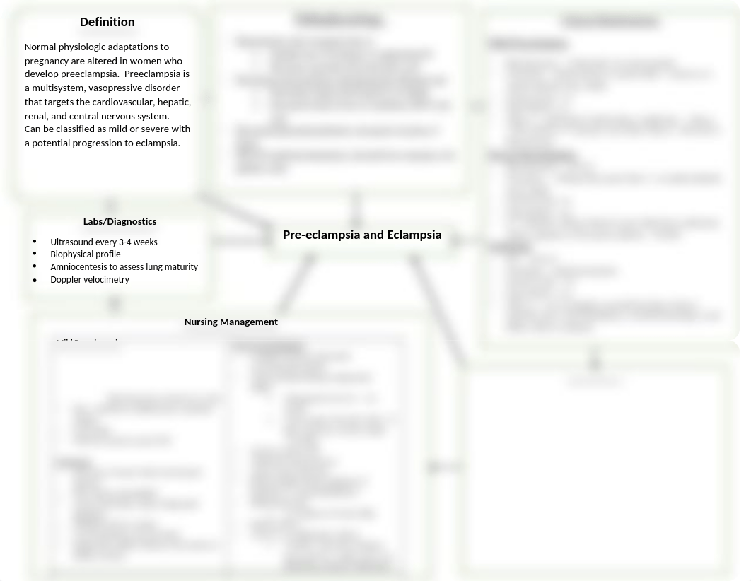 Preeclampsia Concept Map.docx_d0jbz94fzdd_page1