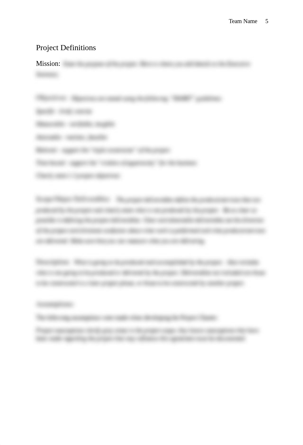 Project Charter Template.docx_d0jdgrtcbg8_page5