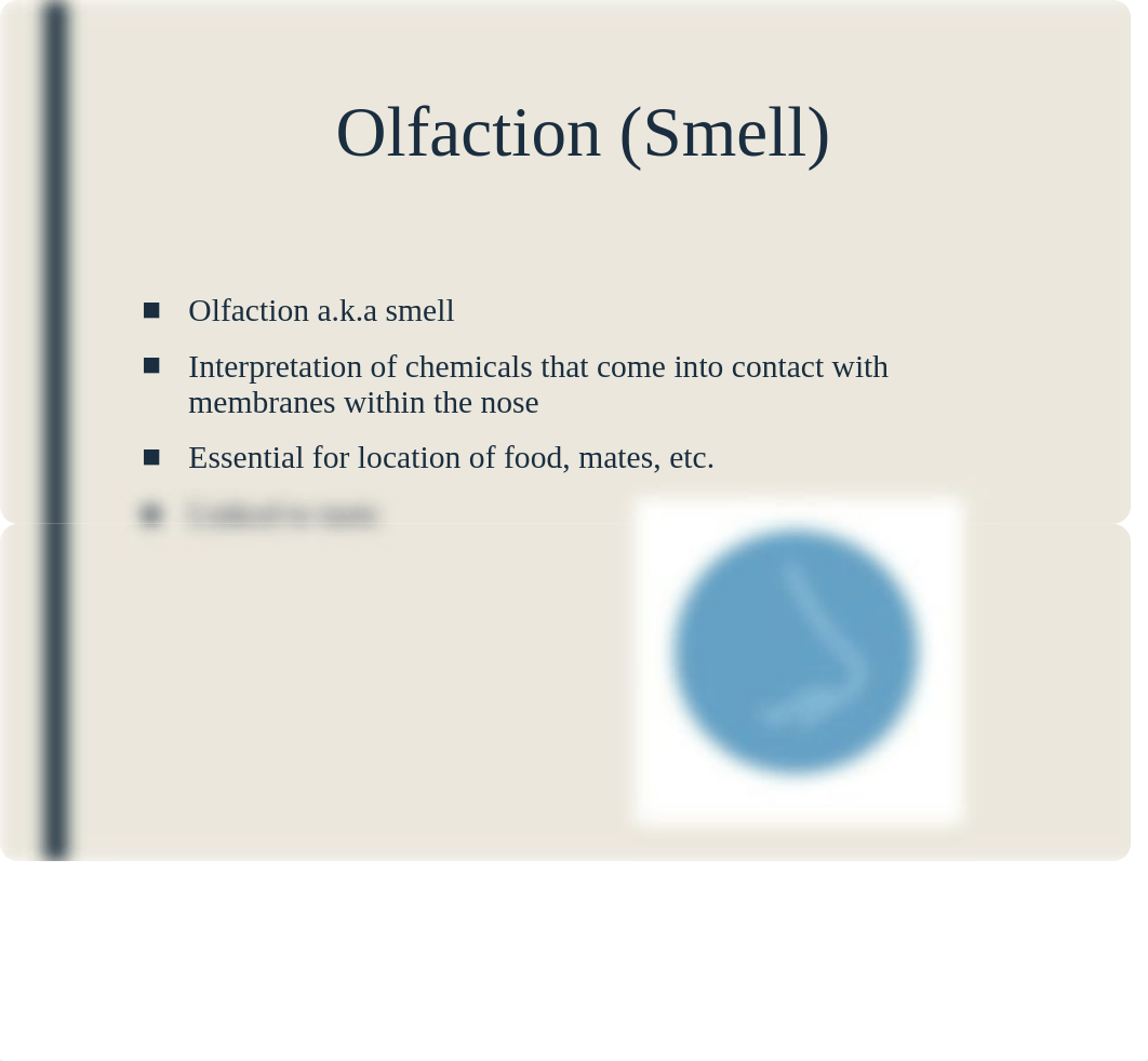 Sensory System Presentation_d0jmxnp7kx2_page4