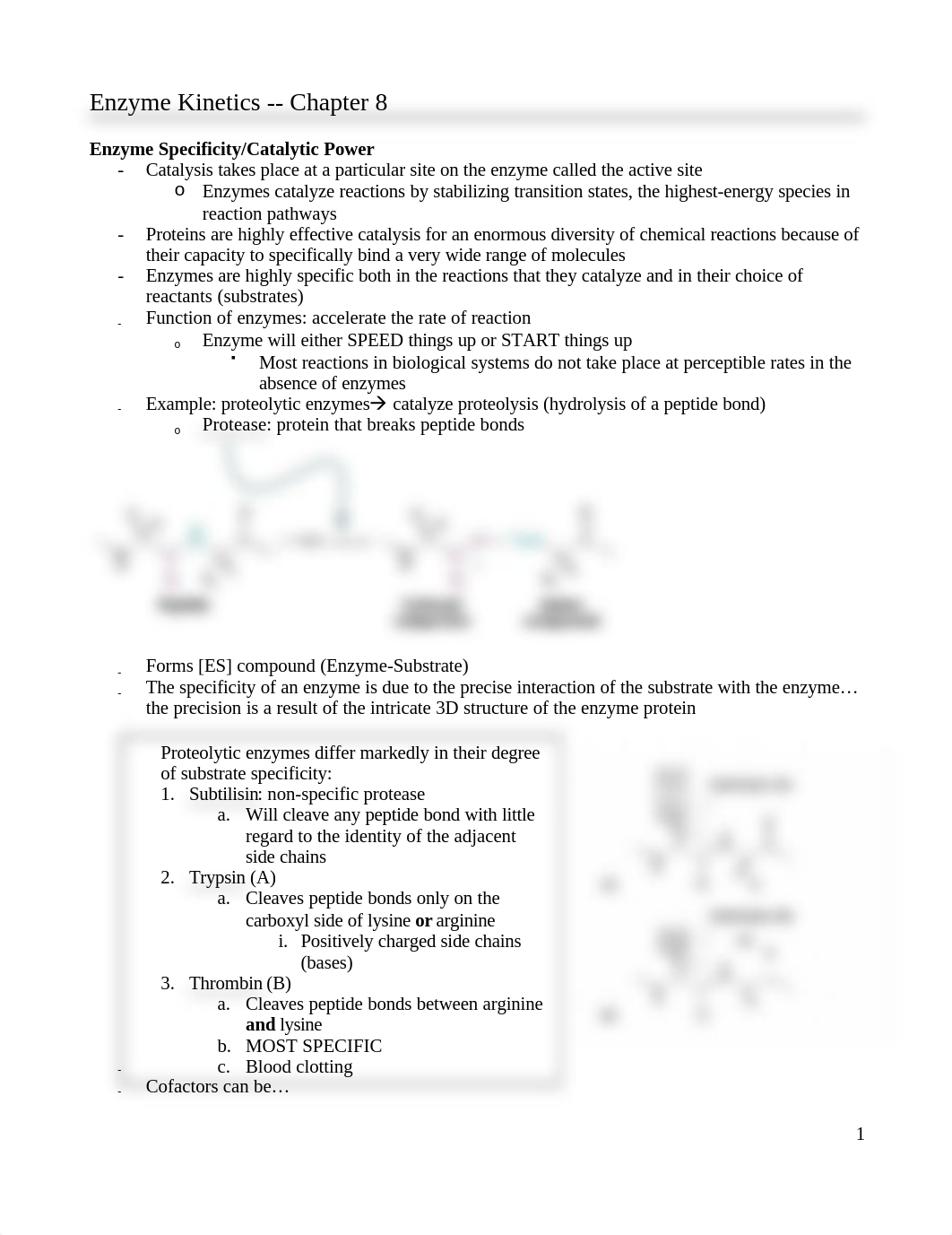 Summer 13 biochem Chapter 8_d0k20jftx0g_page1