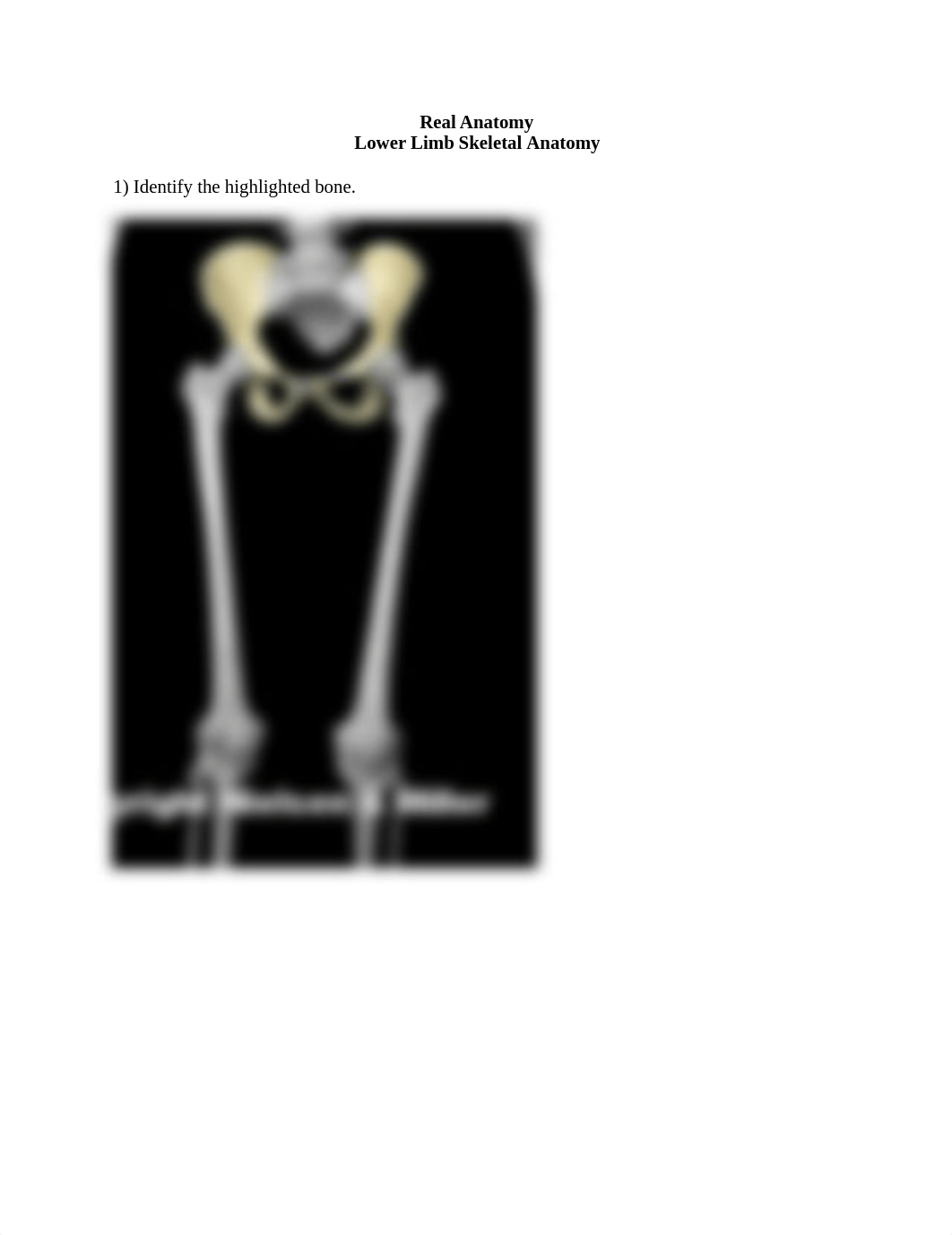 lower limb ID worksheet.docx_d0k5qauxpeb_page1