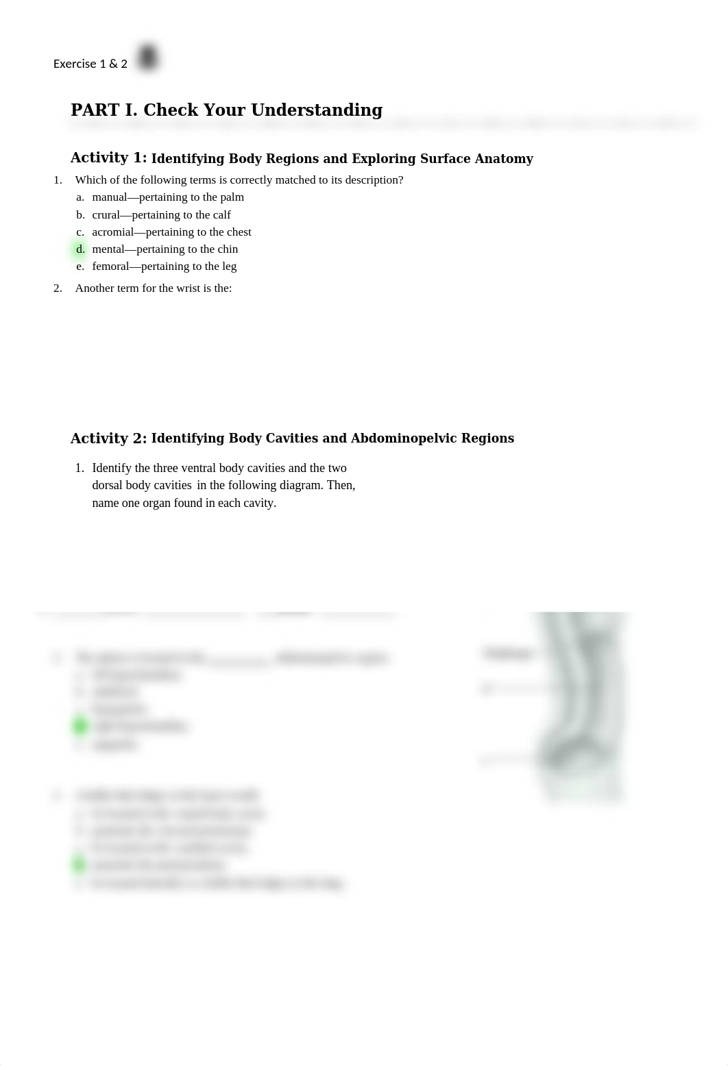 Unit1AnatomyExercise.docx_d0kb3x648v9_page1