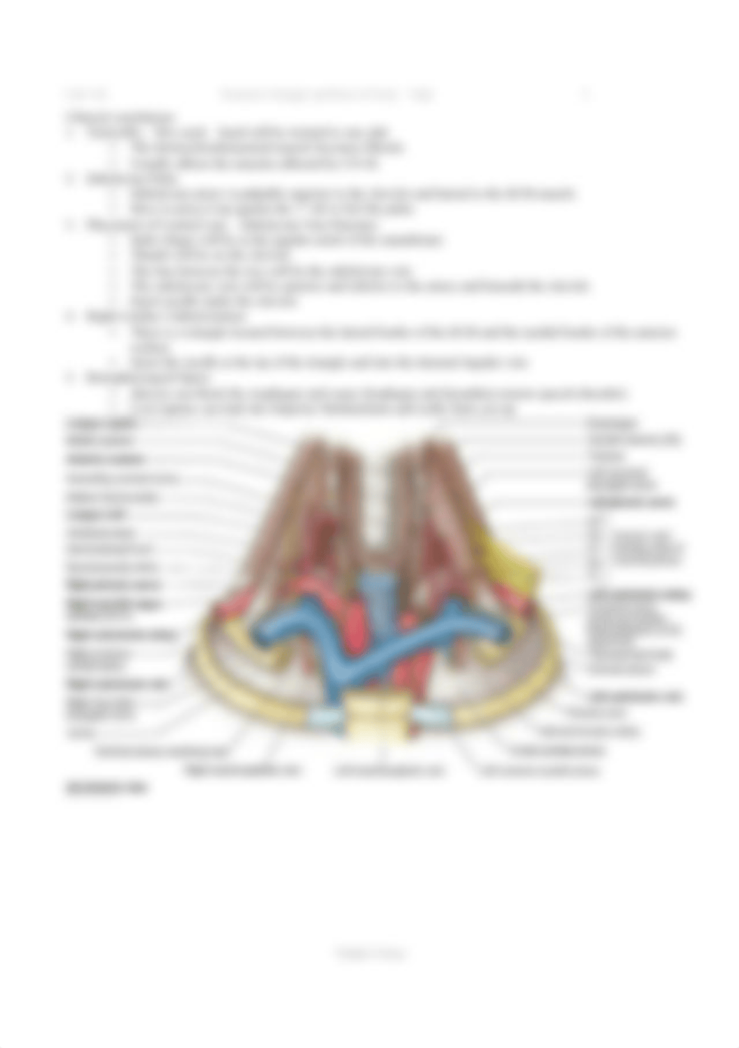 5. Posterior Triangle and Root of Neck - Notes.pdf_d0kow6000xf_page3