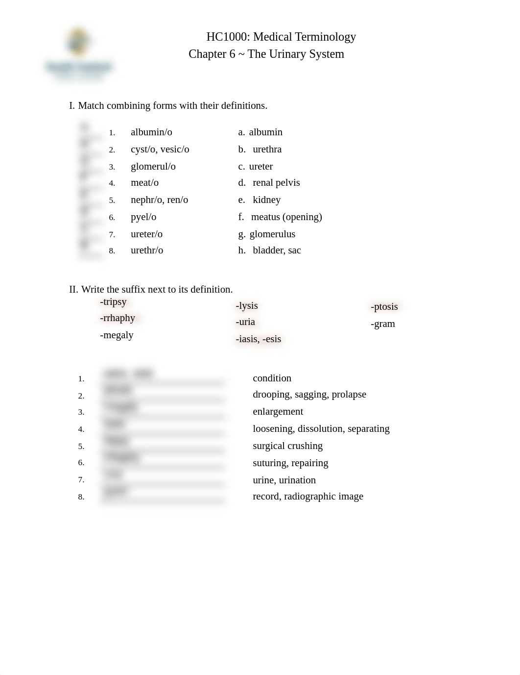 Chapter 6 Worksheet (PDF).pdf_d0kwxodd4nq_page1