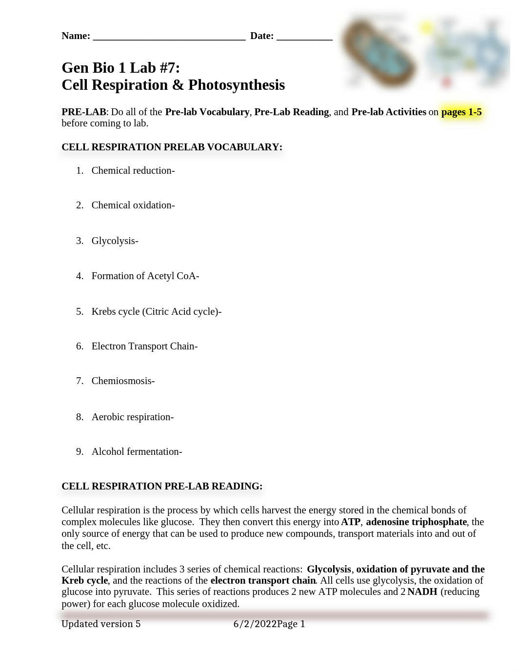 Lab 7 Cell Respiration & Photosynthesis OpenStax 2e.docx_d0kx5xqmnyo_page1