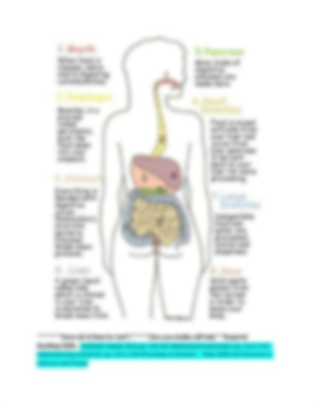 Bowel Elimination Outline 2016.docx_d0l927t4q6m_page3