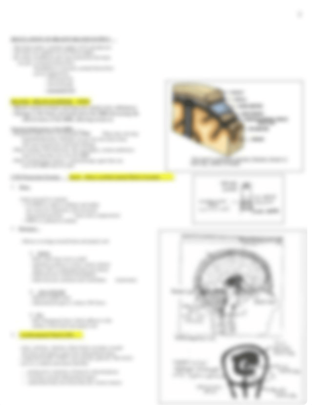 Neuro Notes_Students.docx_d0lbn0kex5m_page3