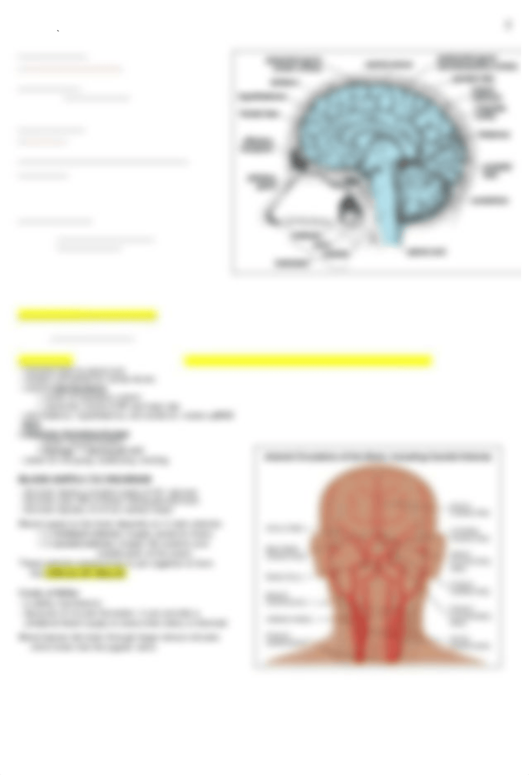 Neuro Notes_Students.docx_d0lbn0kex5m_page2