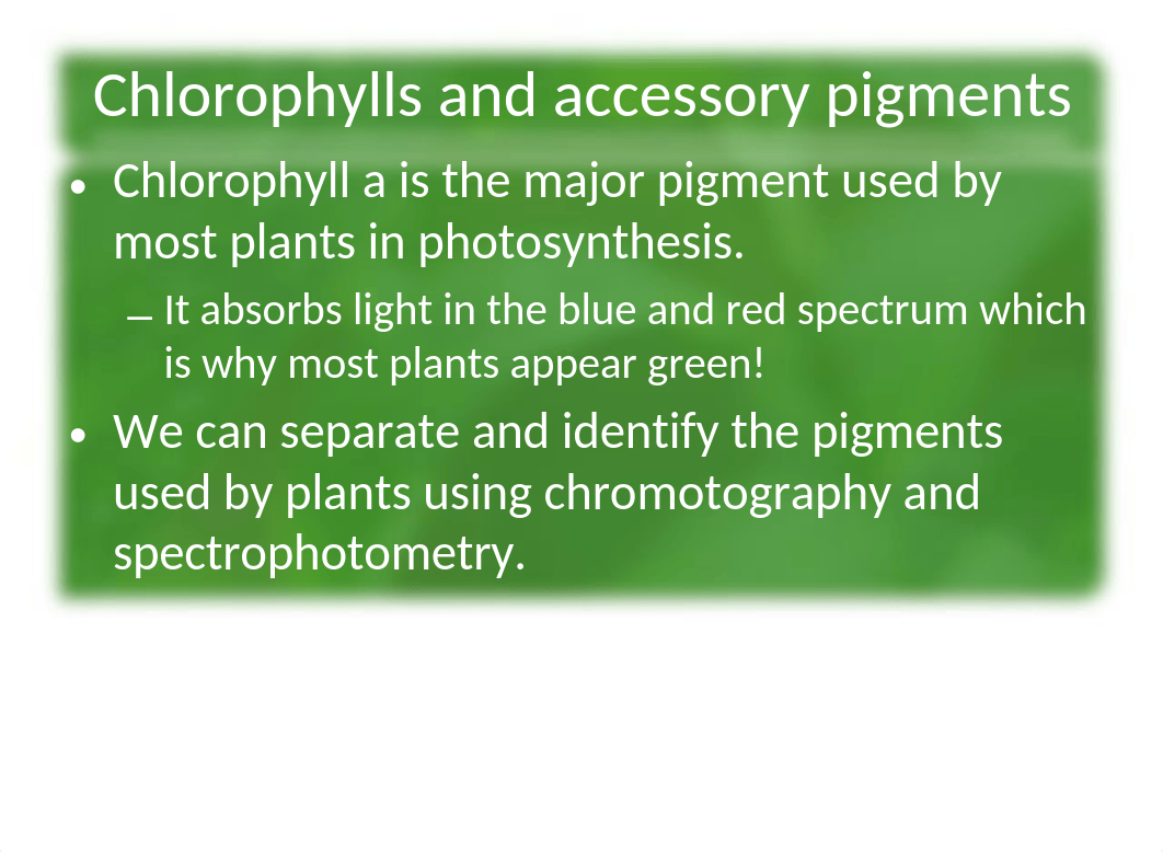 Lab 8 Photosynthesis_d0lcox0zi8r_page4