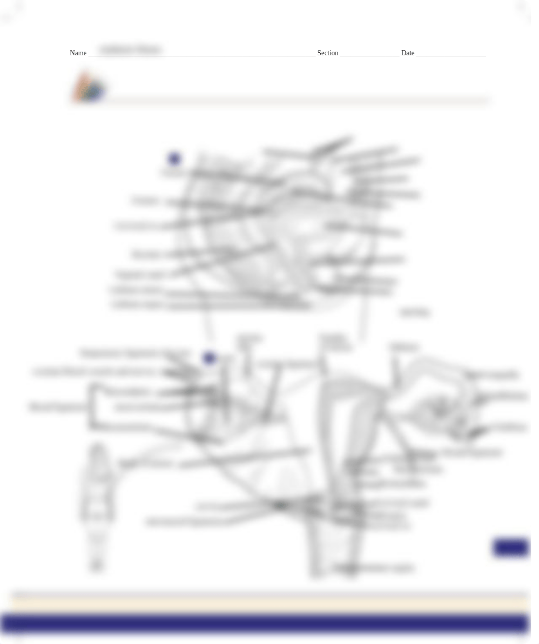 Unit 27 Pre-Lab Exercise 27-3.pdf_d0loalaf27o_page1