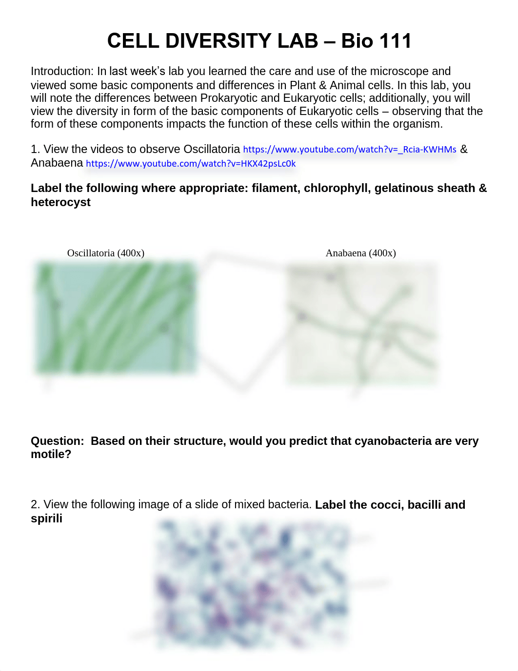 Cell Diversity Lab Bio111.pdf_d0m05p1haih_page1