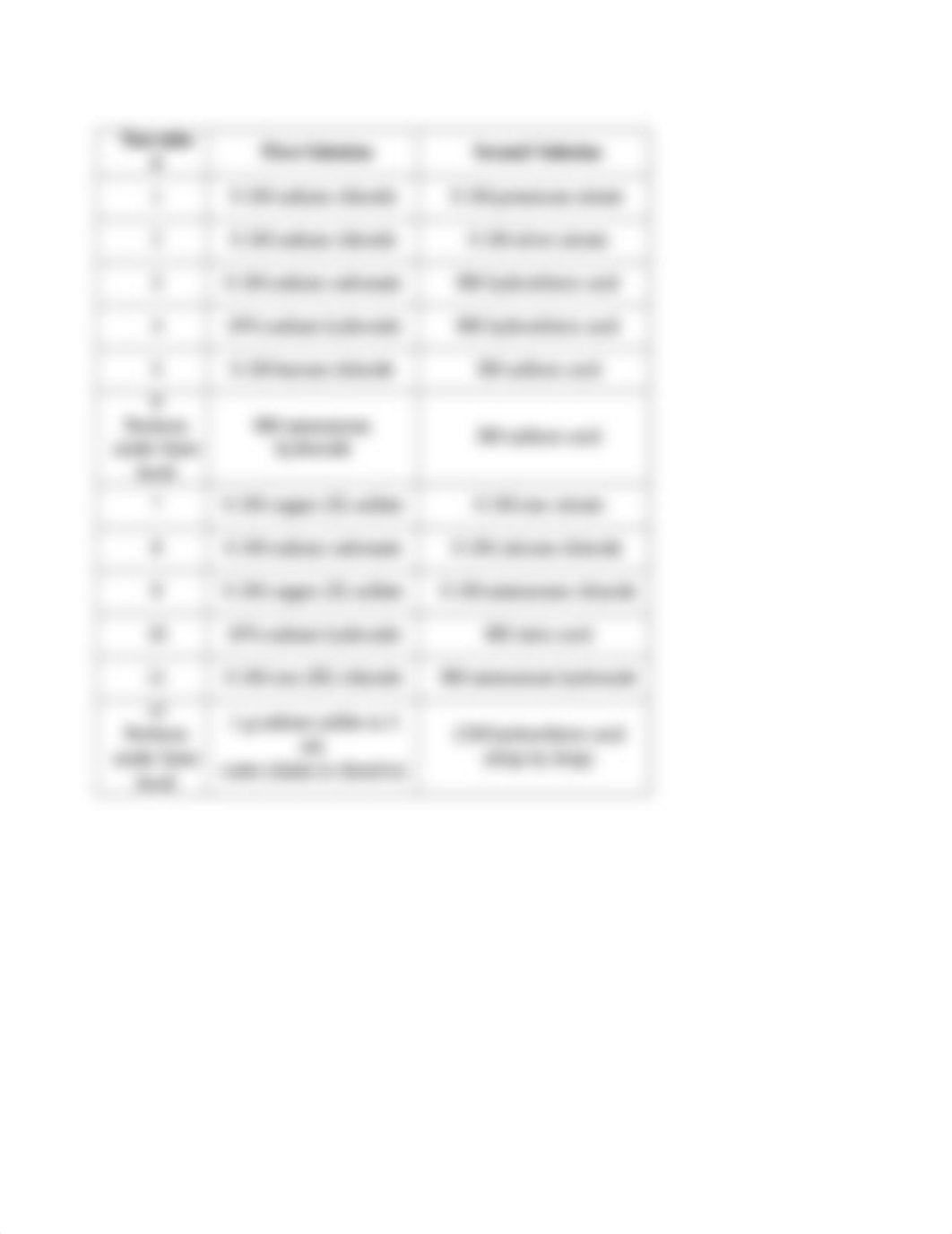 CHEM 180L Double Displacement Spring 2021 (1).docx_d0m1nm4ous4_page3